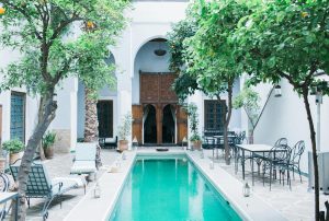 pool with greenery surroundings